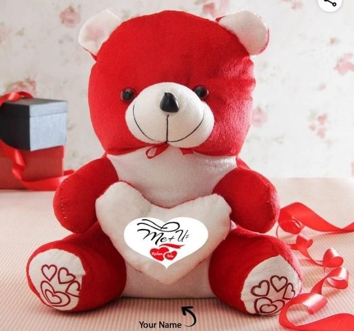 Love Quote Soft Teddy cs2856-ri