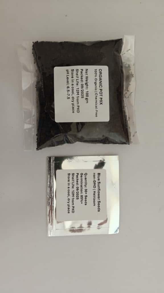 Blue Flame Sunflower Seeds + 100 Grams Organic Pot Mix Free cs2856-ri