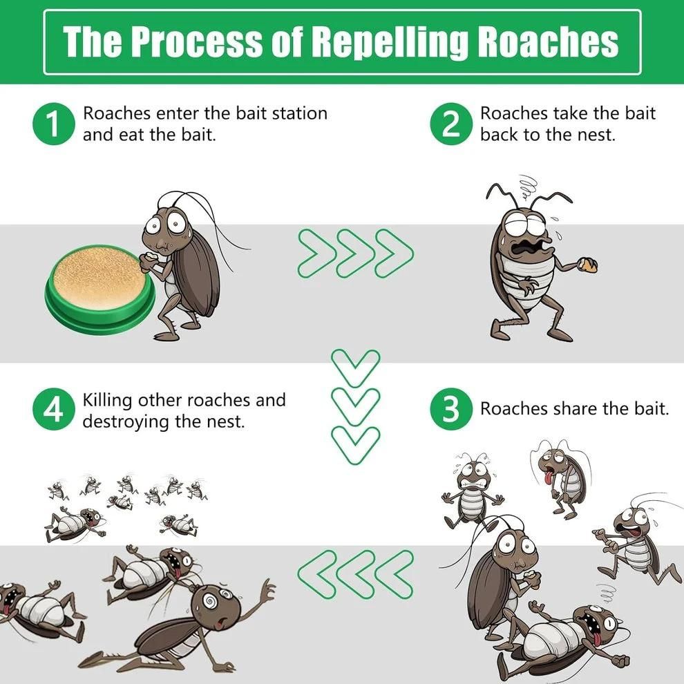 Cockroach Killer Gel (Pack of 2) cs2856-ri