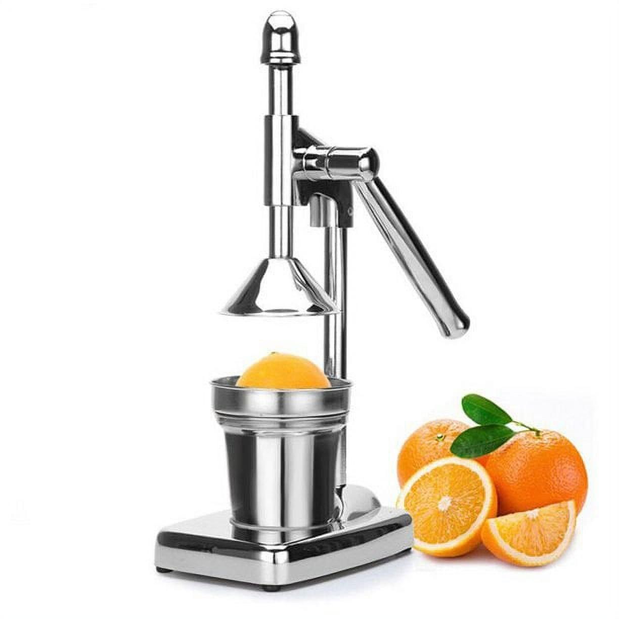 Fruit Juicer cs2856-ri