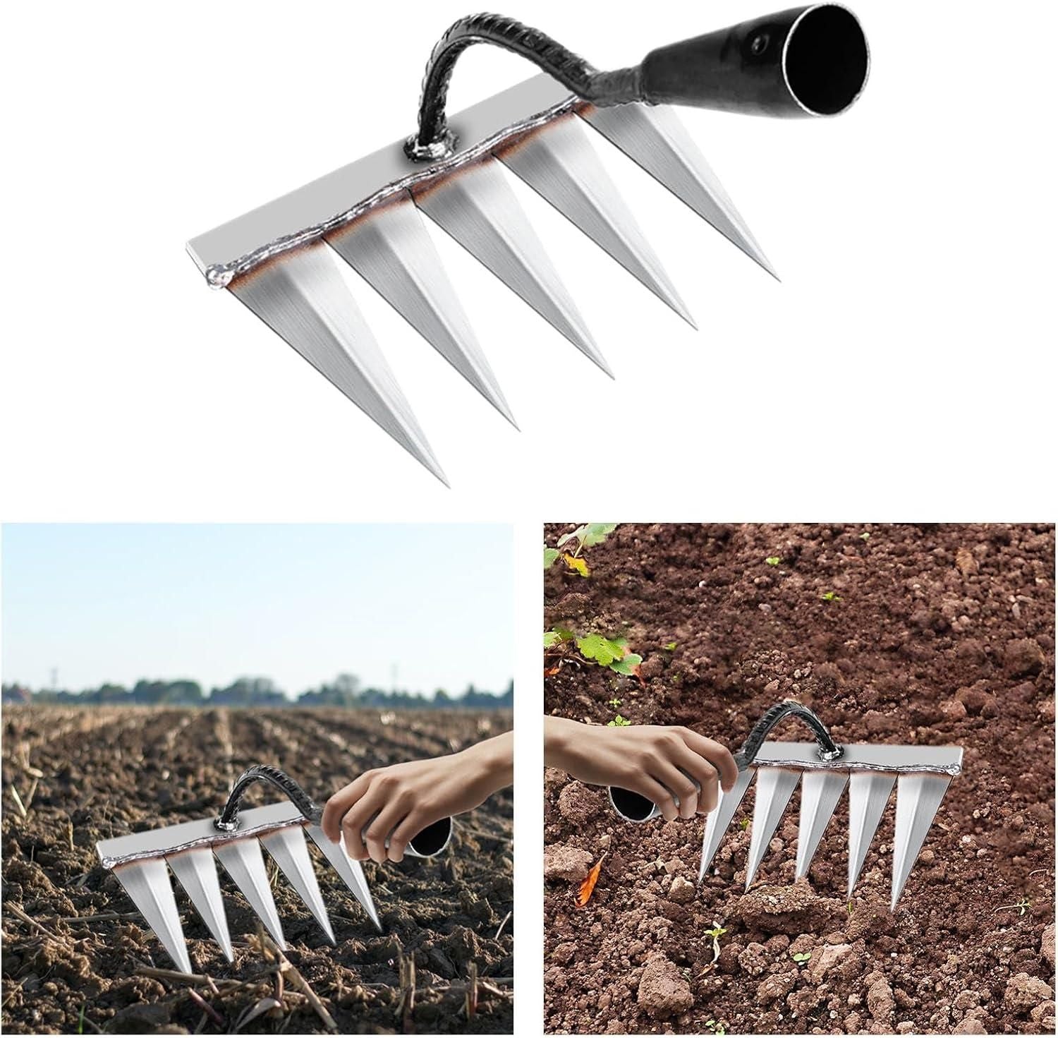 5 Teeth Carbon Steel Garden Weeding cs2856-ri