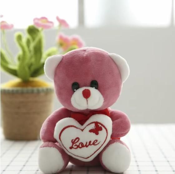 Love Quote Soft Teddy cs2856-ri