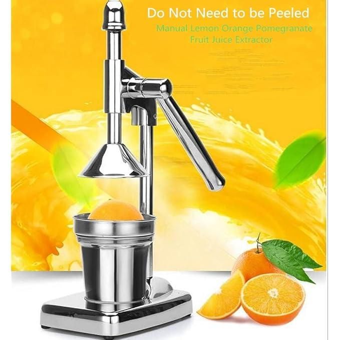 Fruit Juicer cs2856-ri