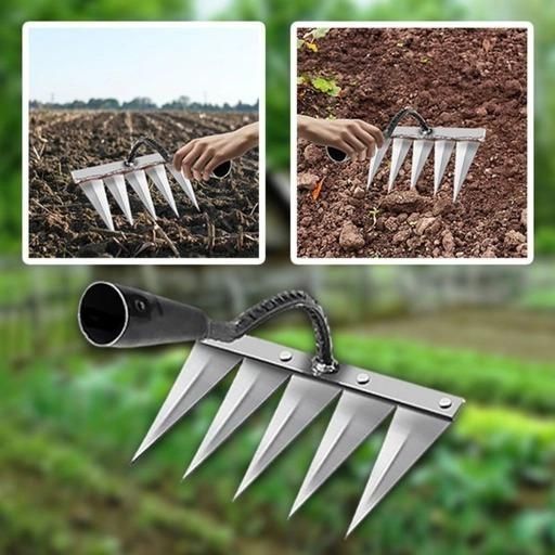5 Teeth Carbon Steel Garden Weeding cs2856-ri
