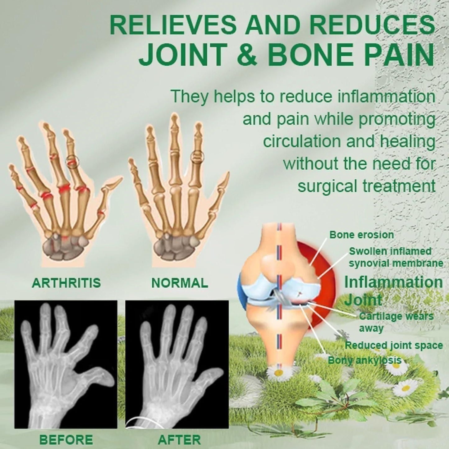 Joint and Bone Therapy Cream