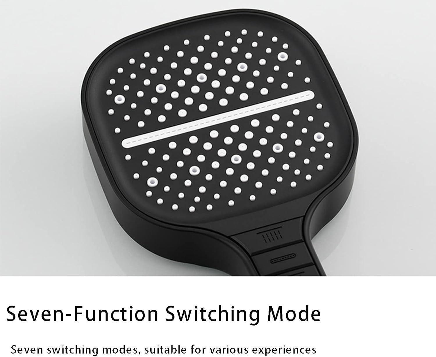 Handheld Shower Head cs2856-ri