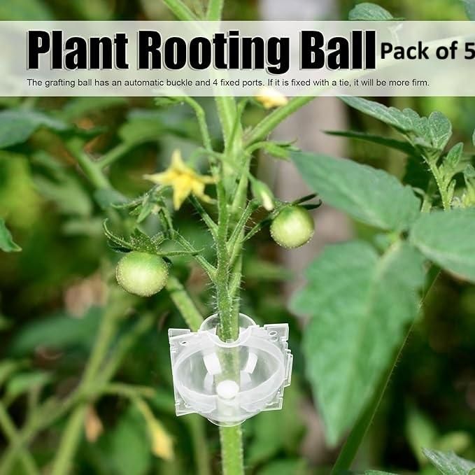 Reusable Plant Root Growth Balls with Locks (Pack of 5) cs2856-ri