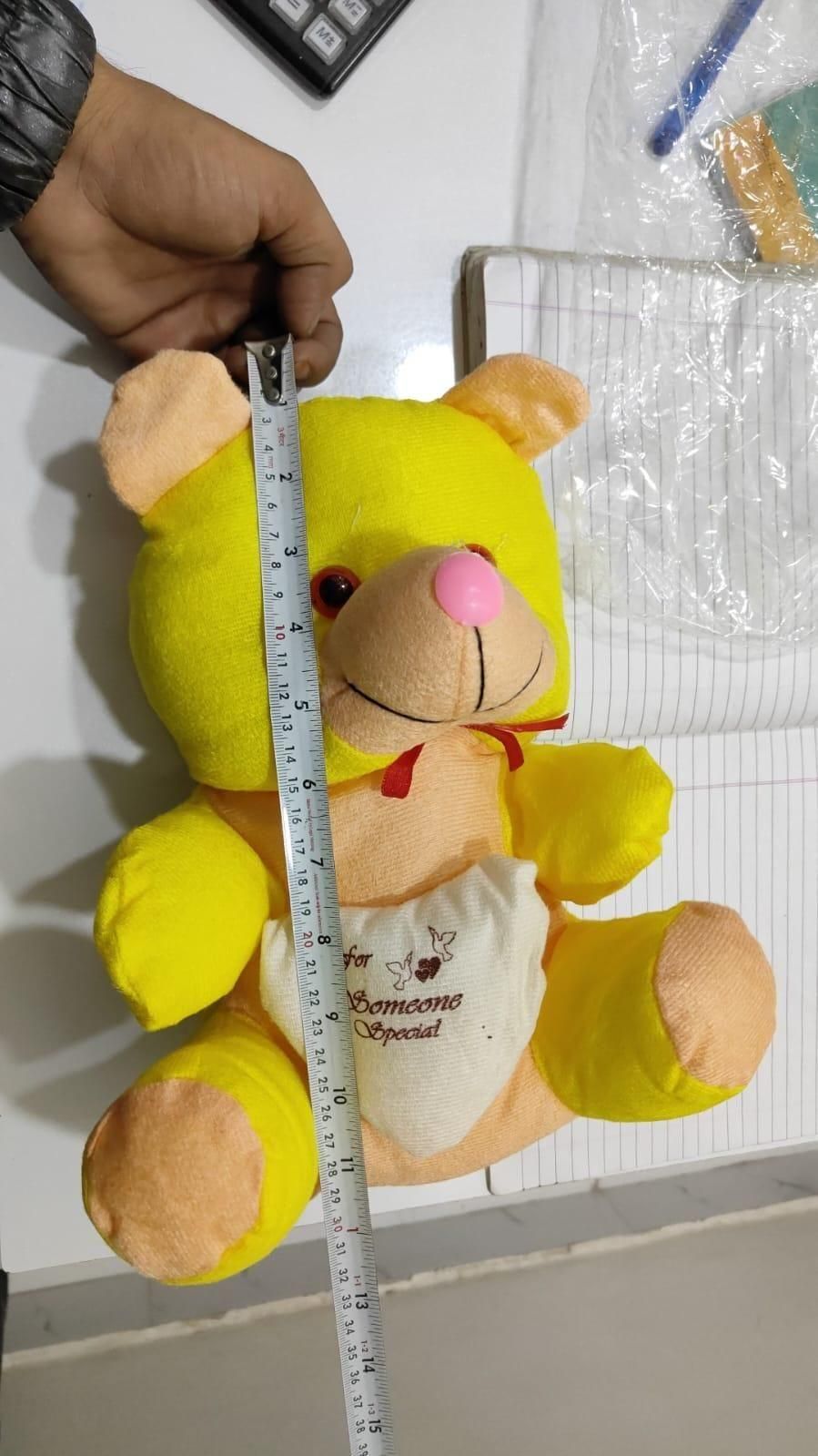 Love Quote Soft Teddy cs2856-ri