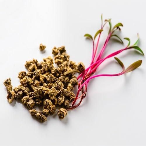 Beetroot Seeds (Free Organic Pot Mix 100 gm) cs2856-ri