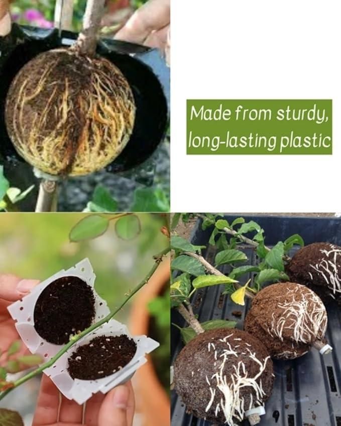 Reusable Plant Root Growth Balls with Locks (Pack of 5) cs2856-ri